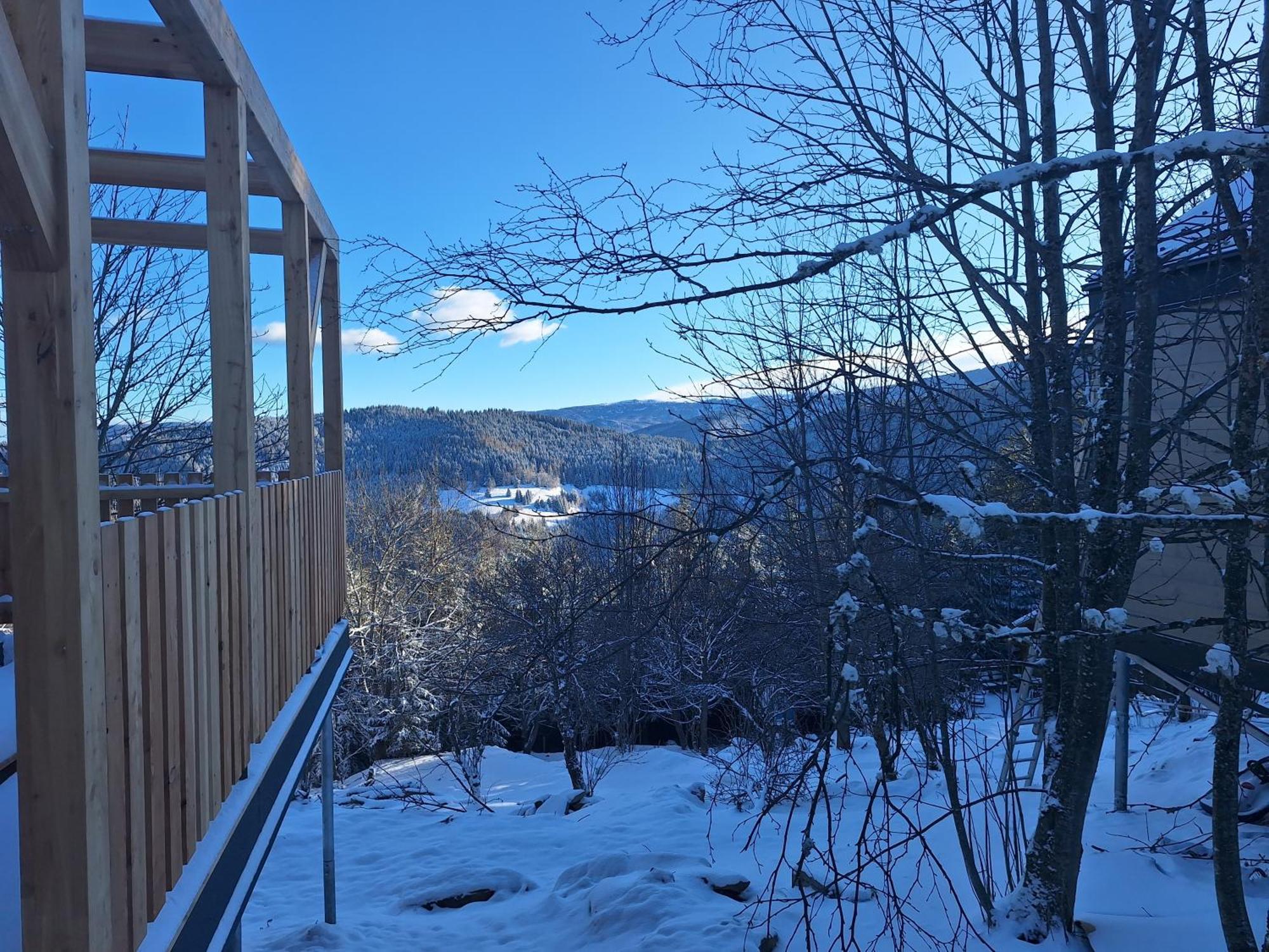 Nature Living Koralm - Neue Chalets Auf Der Koralpe Im Schi- Und Wanderparadies Sankt Stefan im Lavanttal Kültér fotó