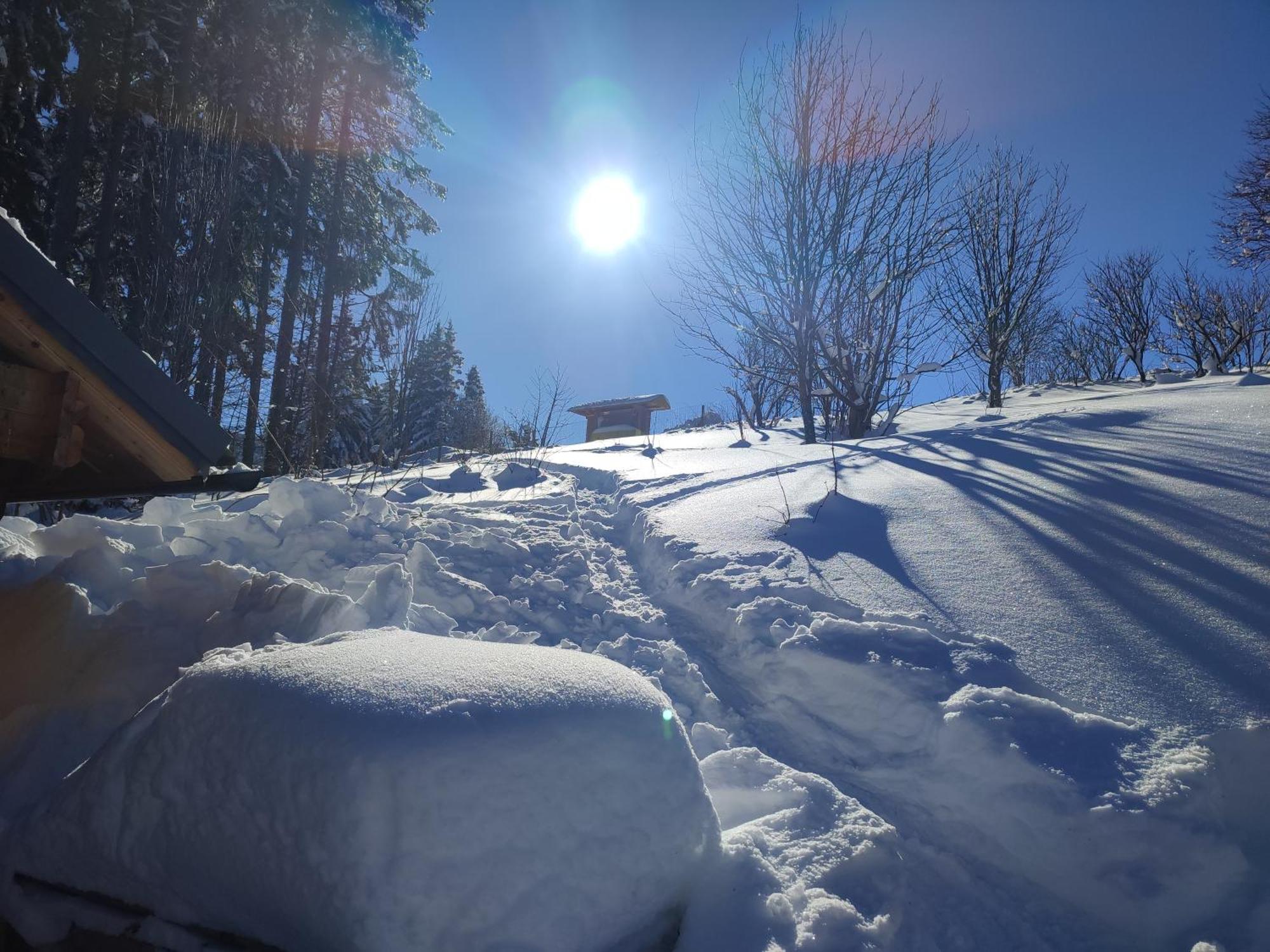 Nature Living Koralm - Neue Chalets Auf Der Koralpe Im Schi- Und Wanderparadies Sankt Stefan im Lavanttal Kültér fotó